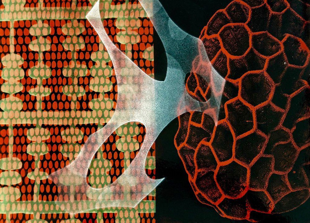 A close up of a cell with a pattern on it