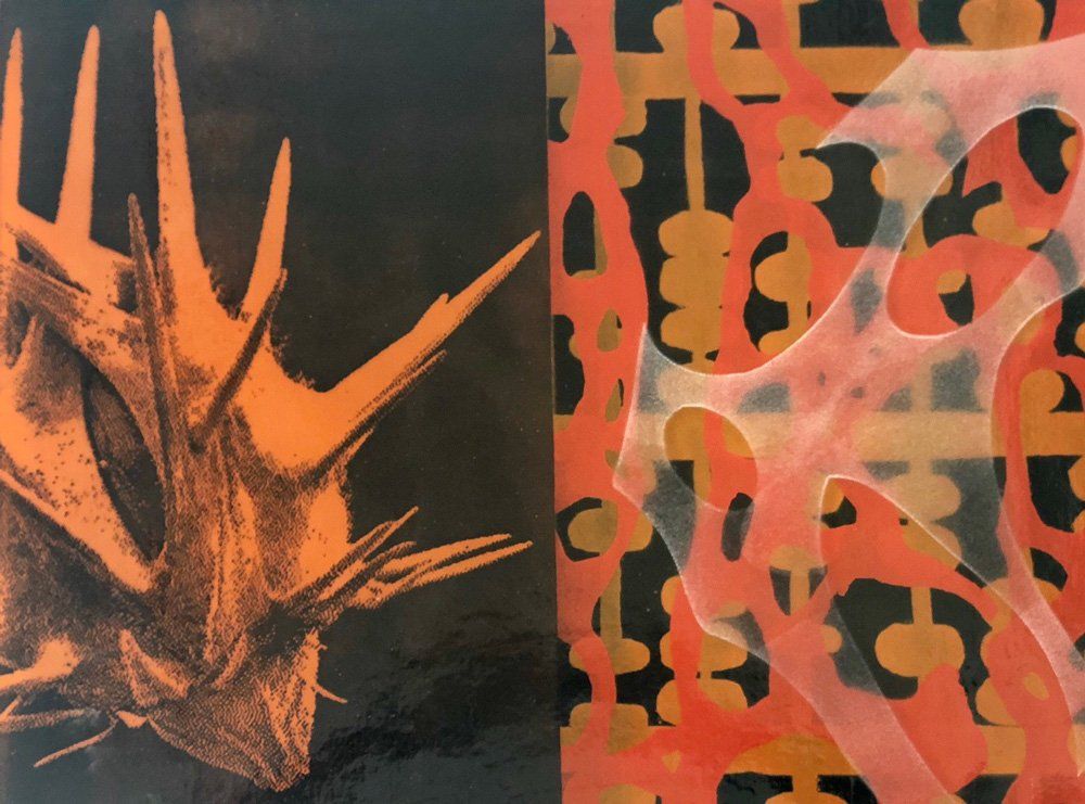 A close up of a painting of a cactus on a black background