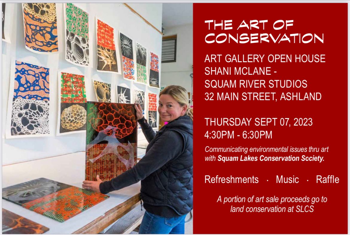 An advertisement for the art of conservation shows a woman holding a painting