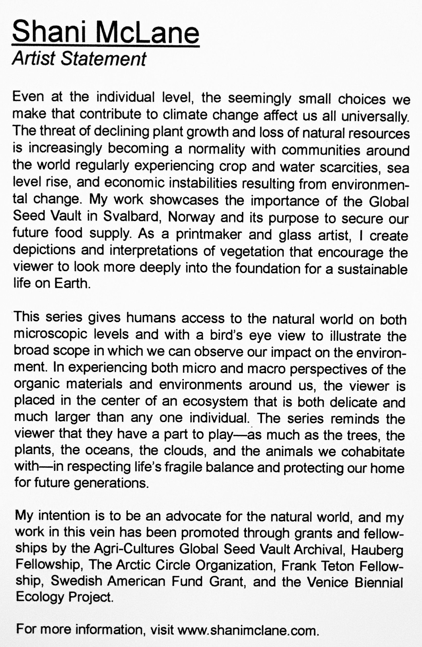 A black and white page of text titled shani mclane artist statement