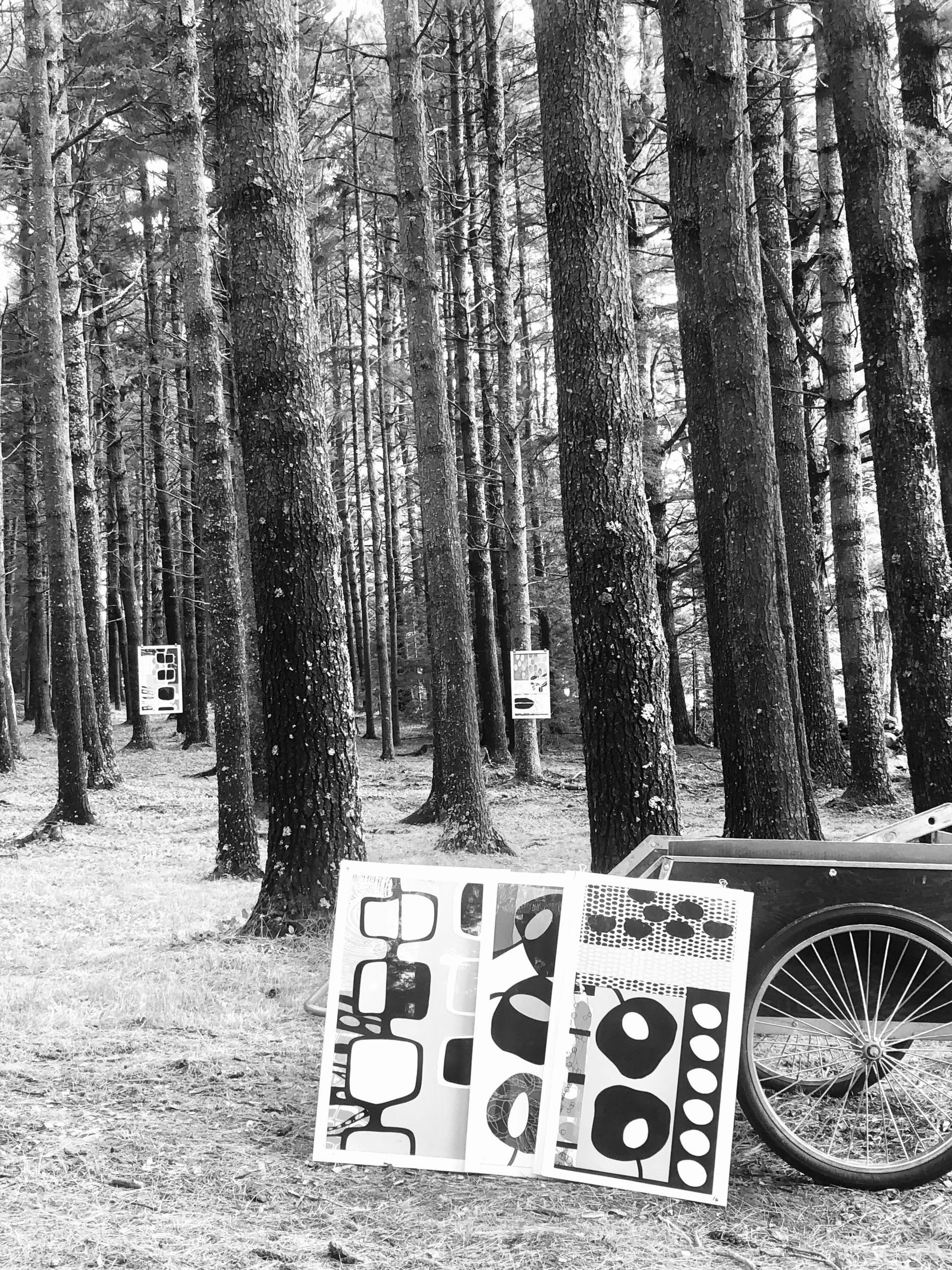A black and white photo of a forest with a bicycle in the foreground.