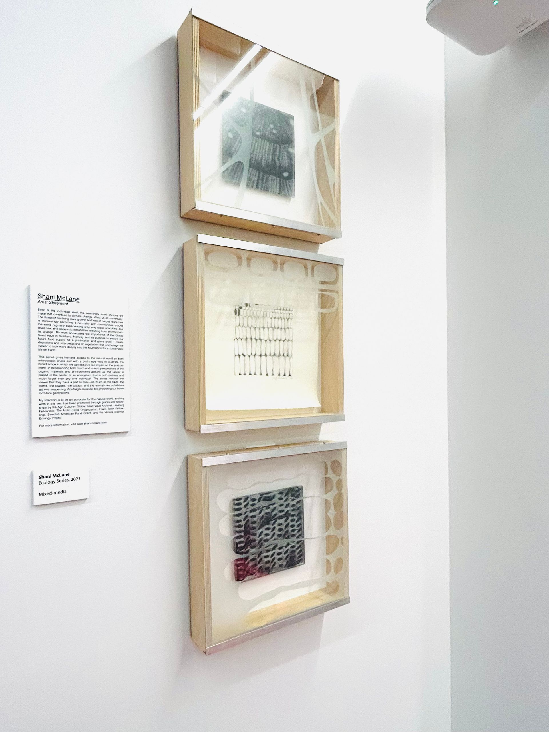 Three framed pictures are hanging on a white wall