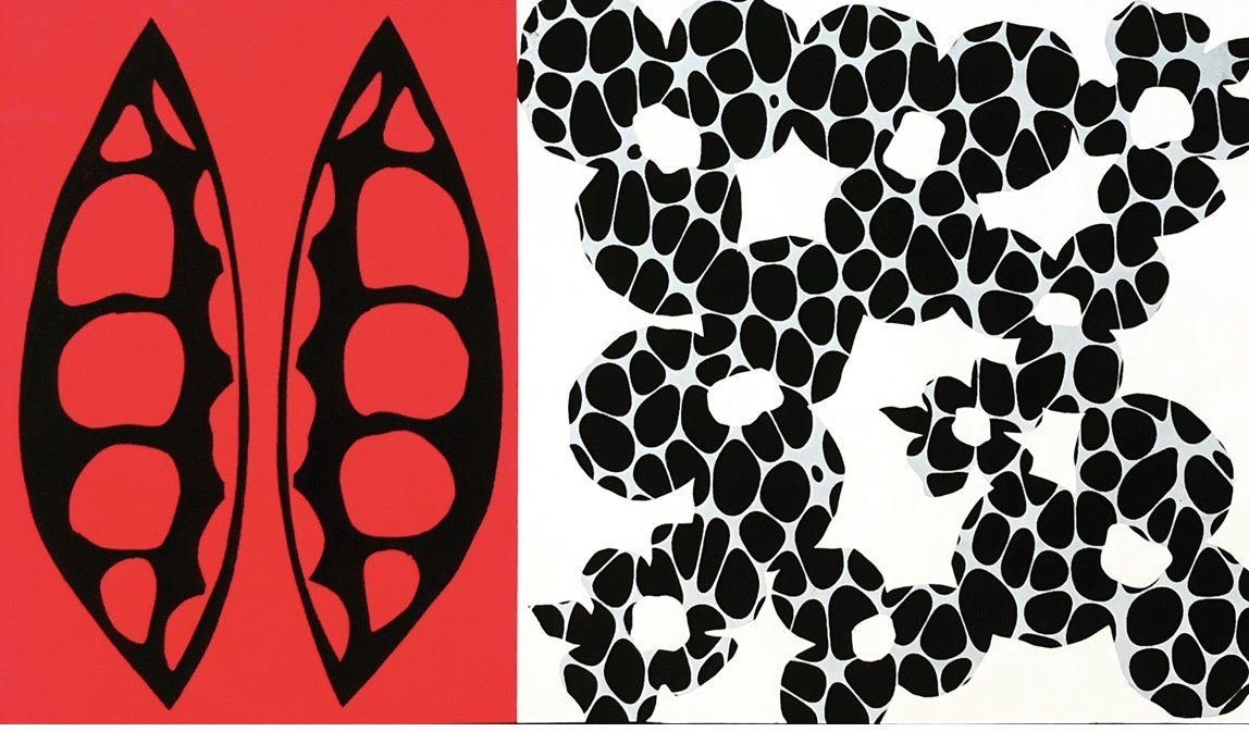 A red background with a black leaf and a white background with black dots