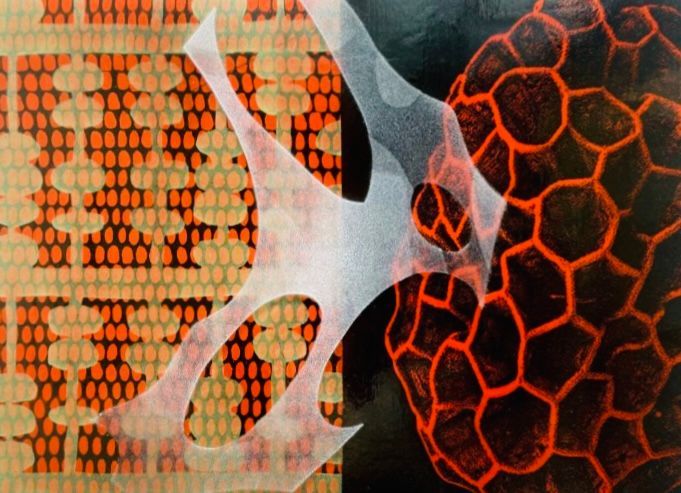 A close up of a spider web on a black background