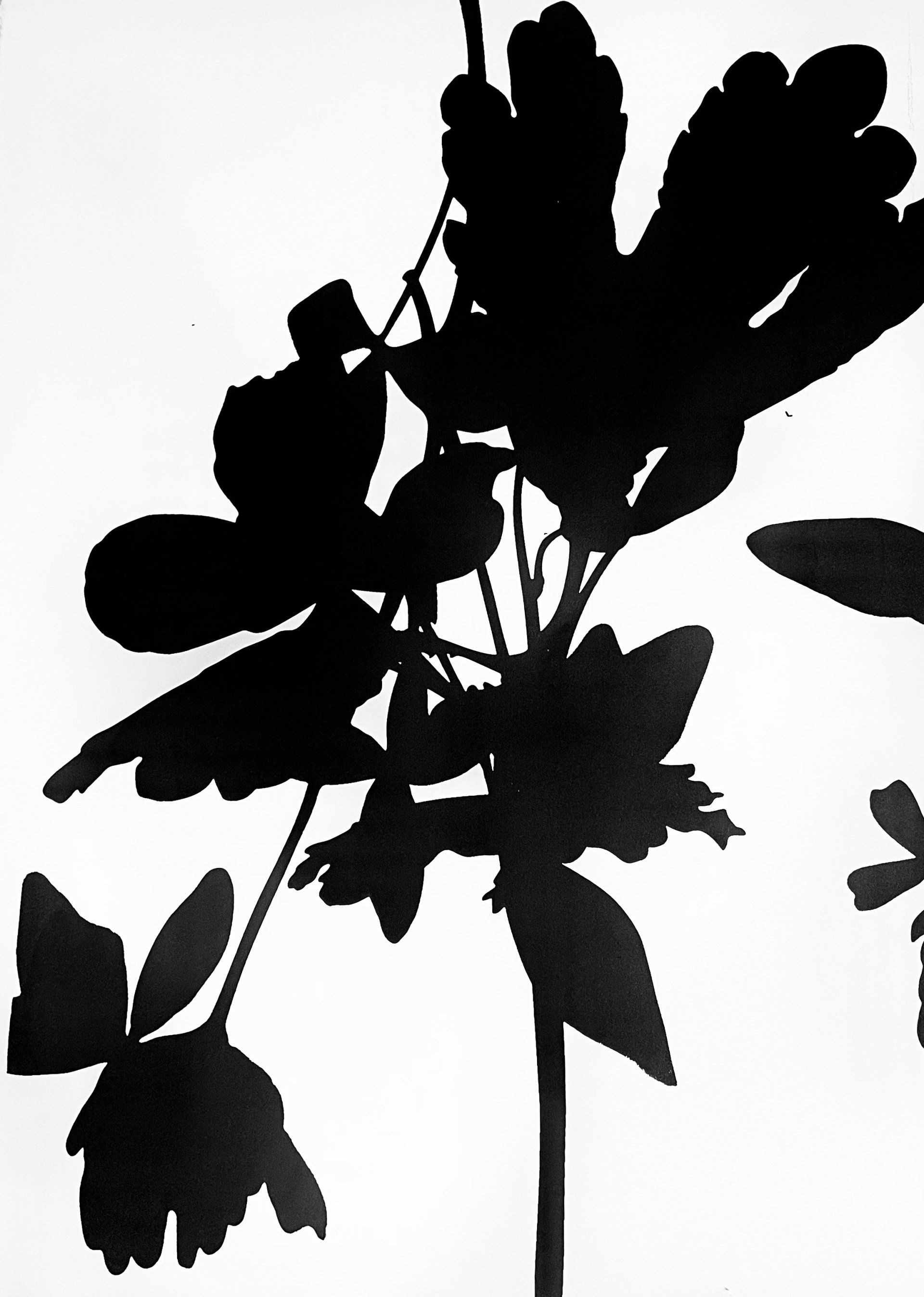 A black and white silhouette of a plant with leaves