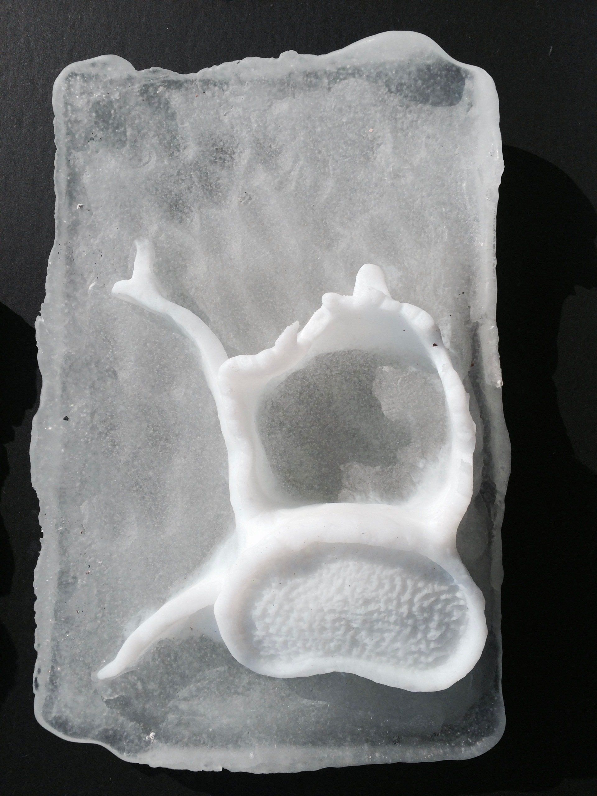 A piece of ice with a white object on it