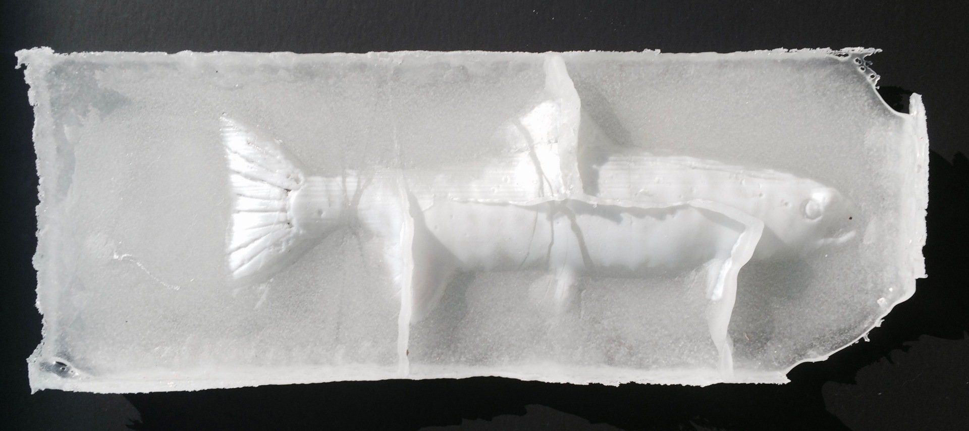 A piece of ice that looks like a fish