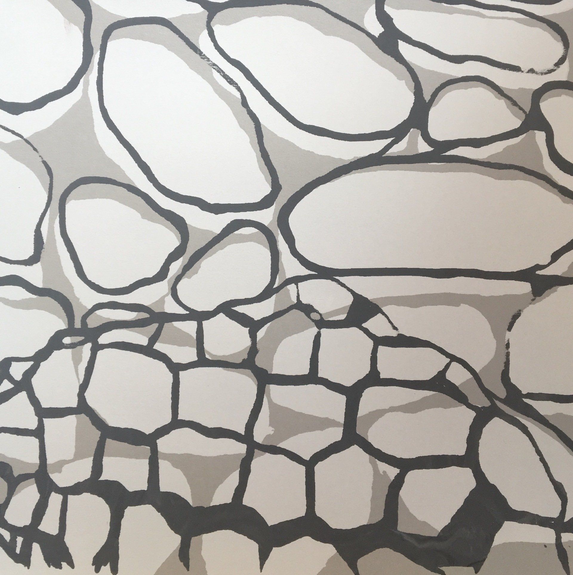 A black and white drawing of a turtle 's shell