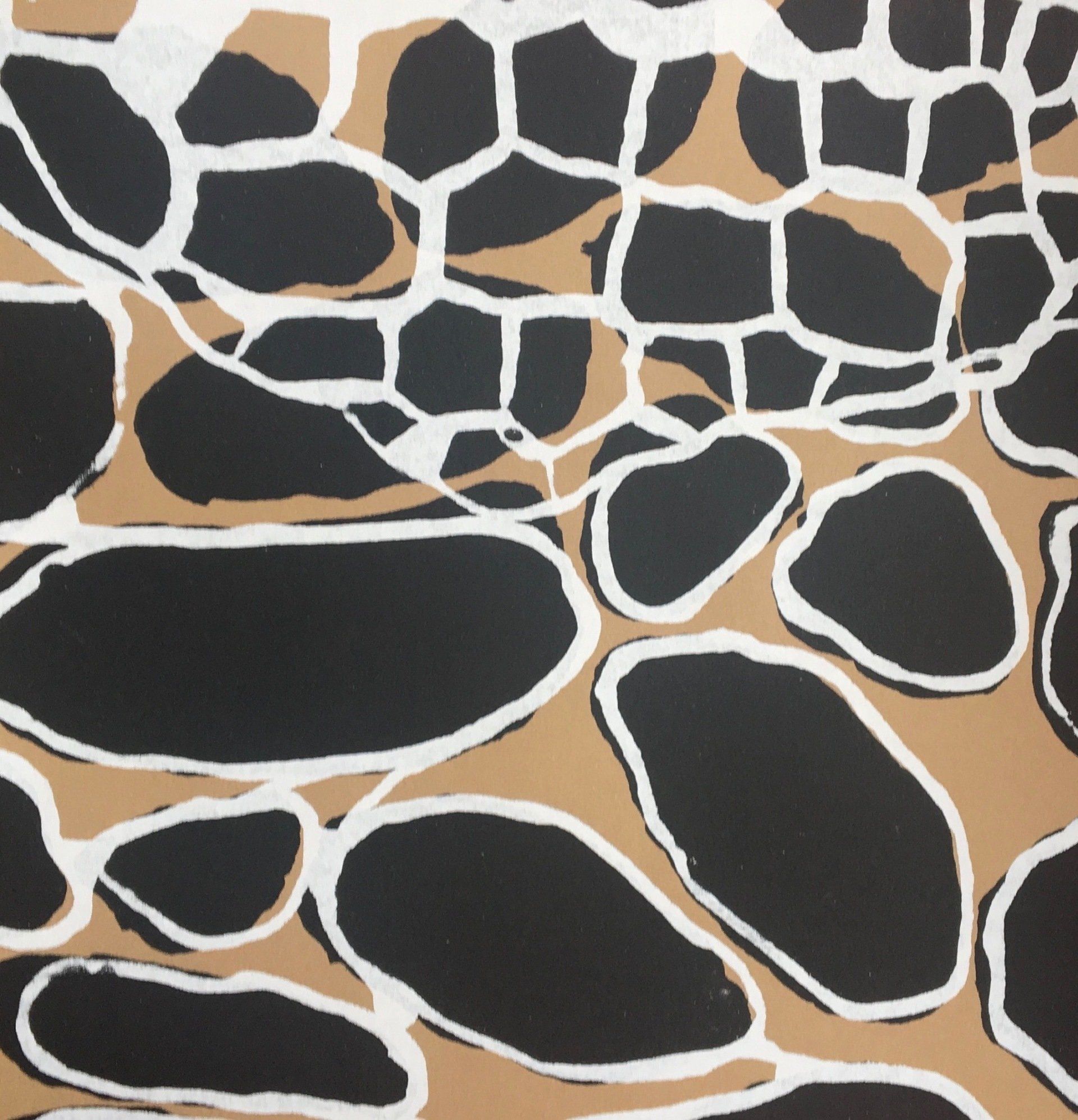 A close up of a giraffe print with black and white spots