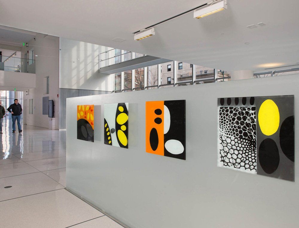 A row of paintings are hanging on a wall in a hallway