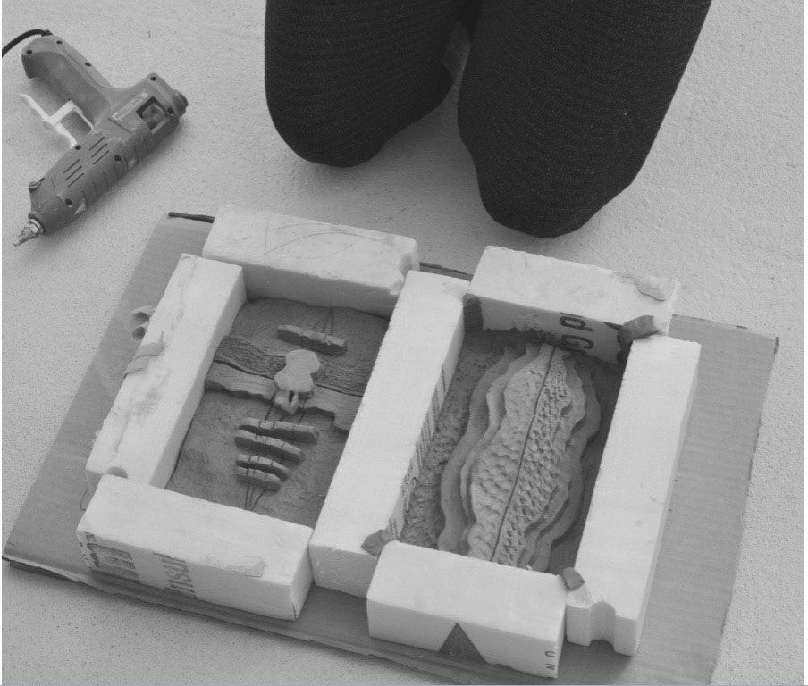 Artic Climate Change Study Mold