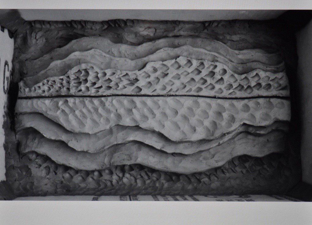 A black and white photo of a sandwich in a box