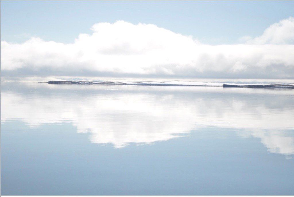 Shani McLane founder of SRS