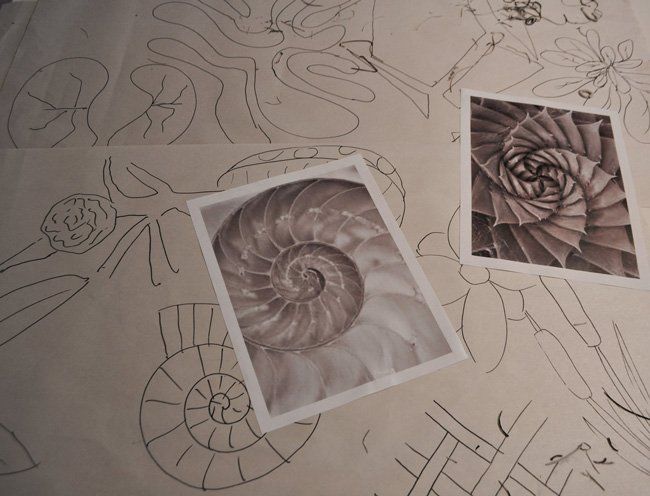 A picture of a spiral on a piece of paper