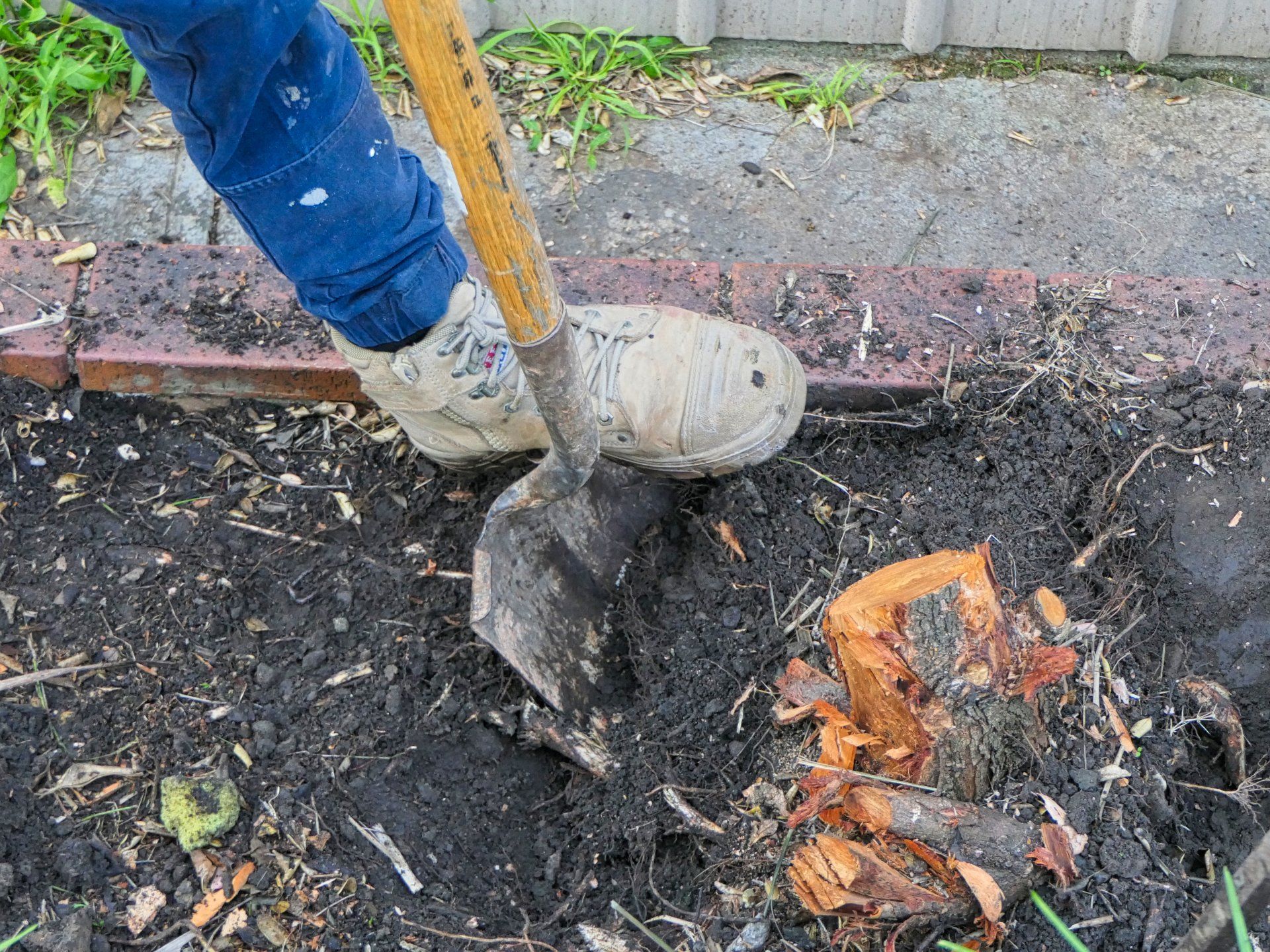 Dempsey Plumbing & Excavators - Excavating Specialists - Gosford