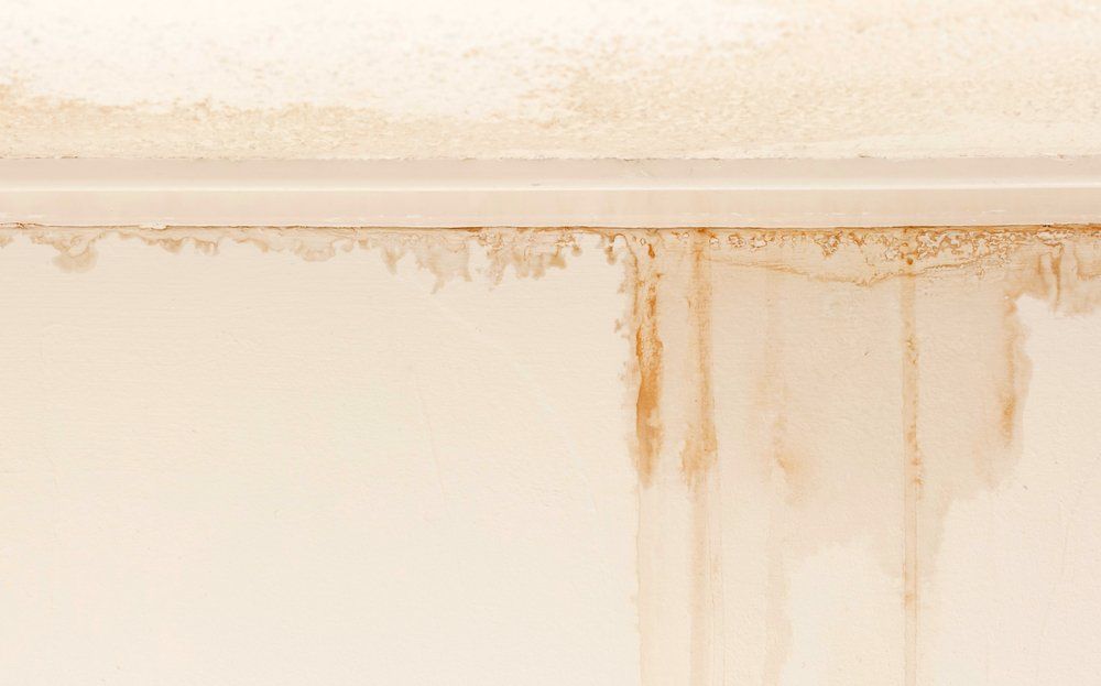 Ceiling Damaged By Water Leak — Dempsey Plumbing North Gosford NSW