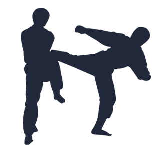 A silhouette of two men practicing karate on a white background.
