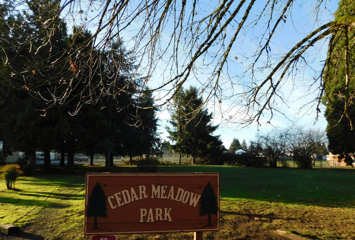 Cedar Meadow Park sign in foreground, green lawn and trees under a bright sky.