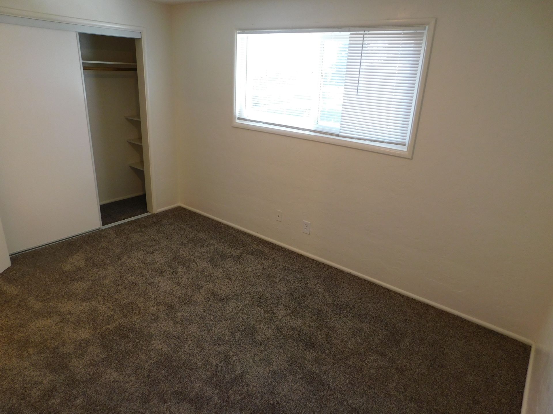 Empty bedroom with brown carpet, closet, and window with blinds.