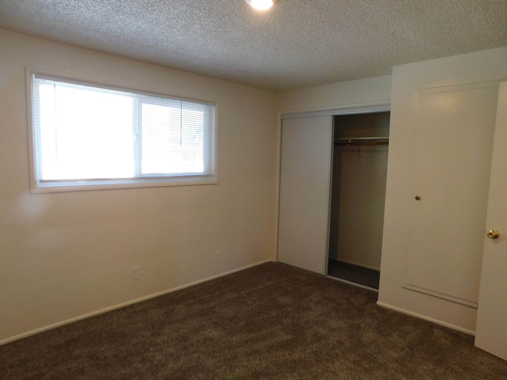 Empty bedroom with a window, closet, and brown carpet.