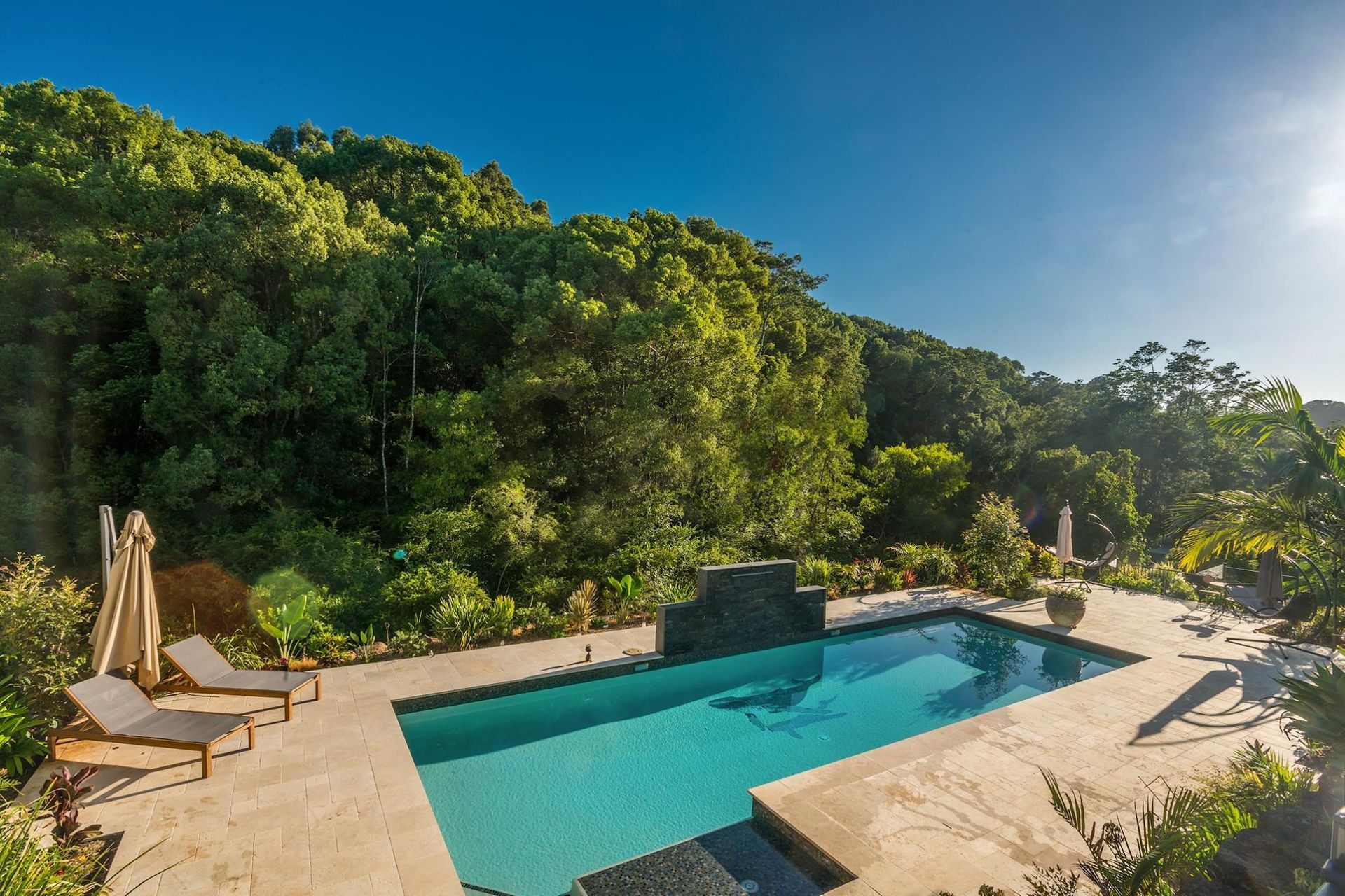 Pool with lounge chairs in front of lush green trees under a bright blue sky. — Banora Pools in Tweed Heads South, NSW