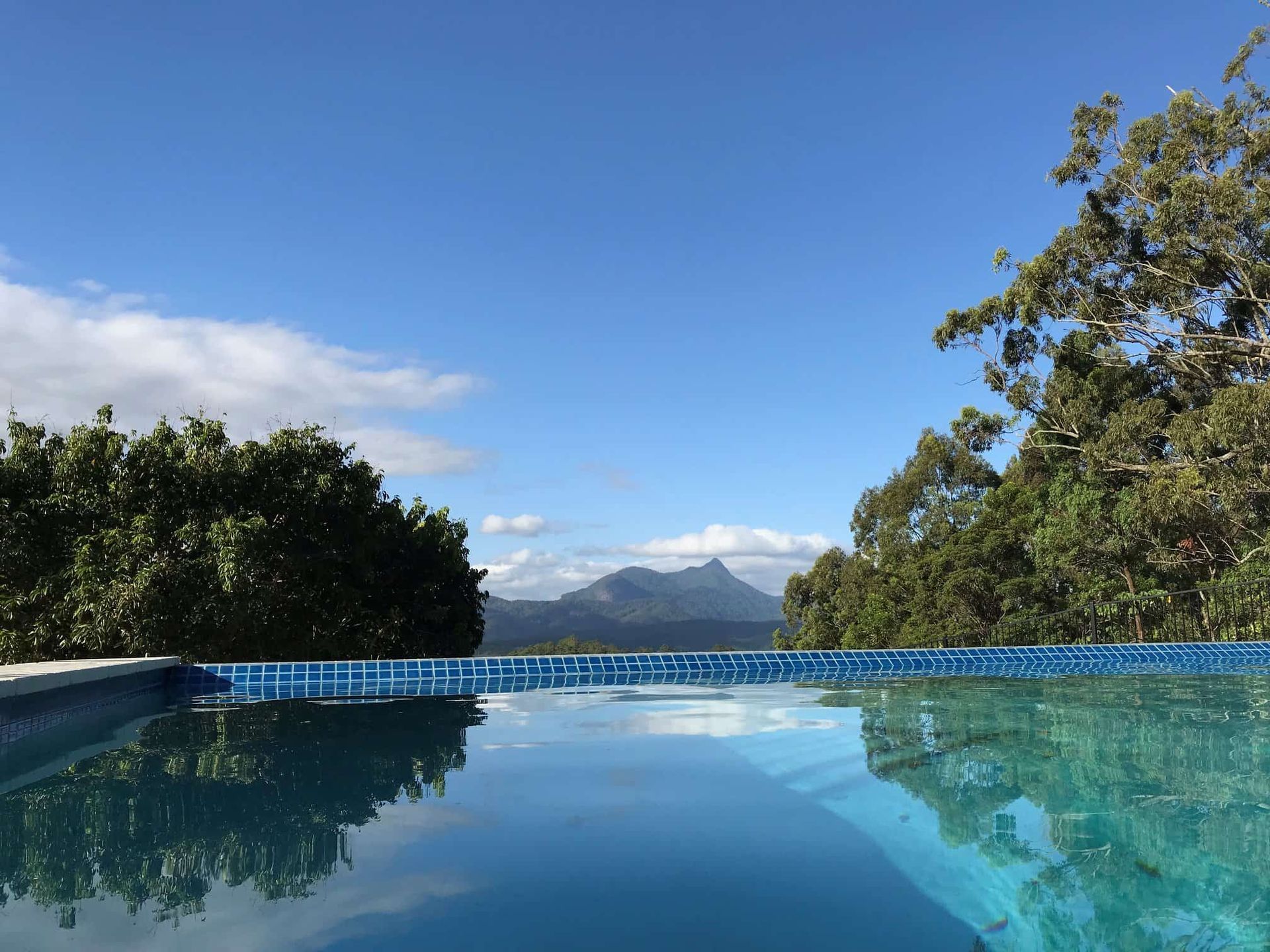 A calm pool reflects the blue sky and a distant mountain, flanked by trees. — Banora Pools in Tweed Heads South, NSW