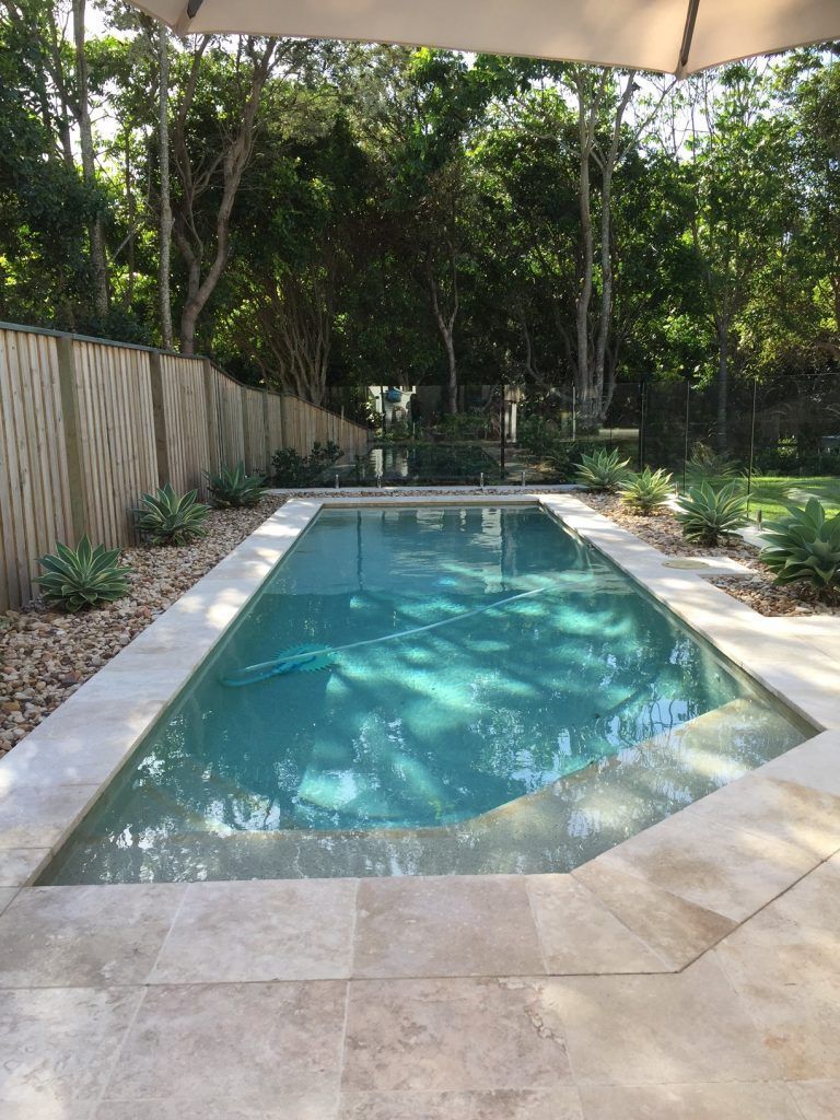 Swimming Pool Surrounded by Stone, Plants, and a Wooden Fence in a Sunny Outdoor Setting — Banora Pools in Tweed Heads South, NSW