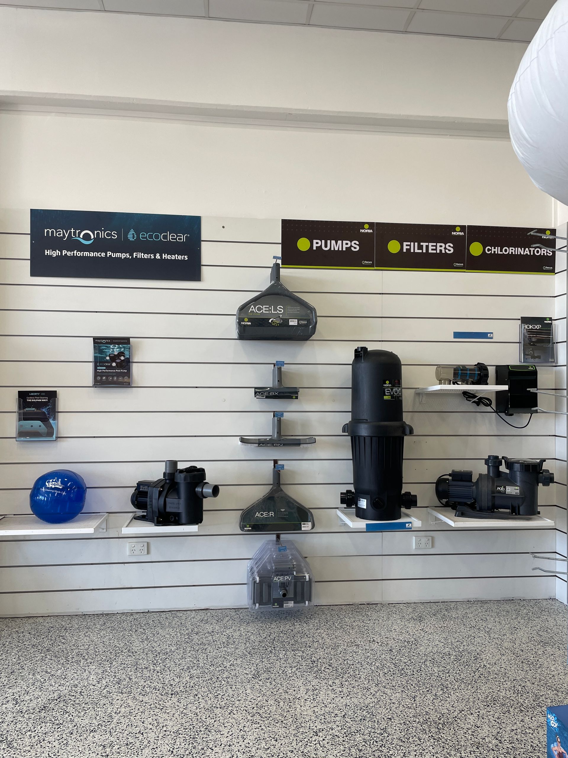 Swimming Pool With Lounge Chairs on Wooden Deck, Hedge, and Dark Fence — Banora Pools in Tweed Heads South, NSW