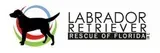 Labrador Retriever Rescue of Florida