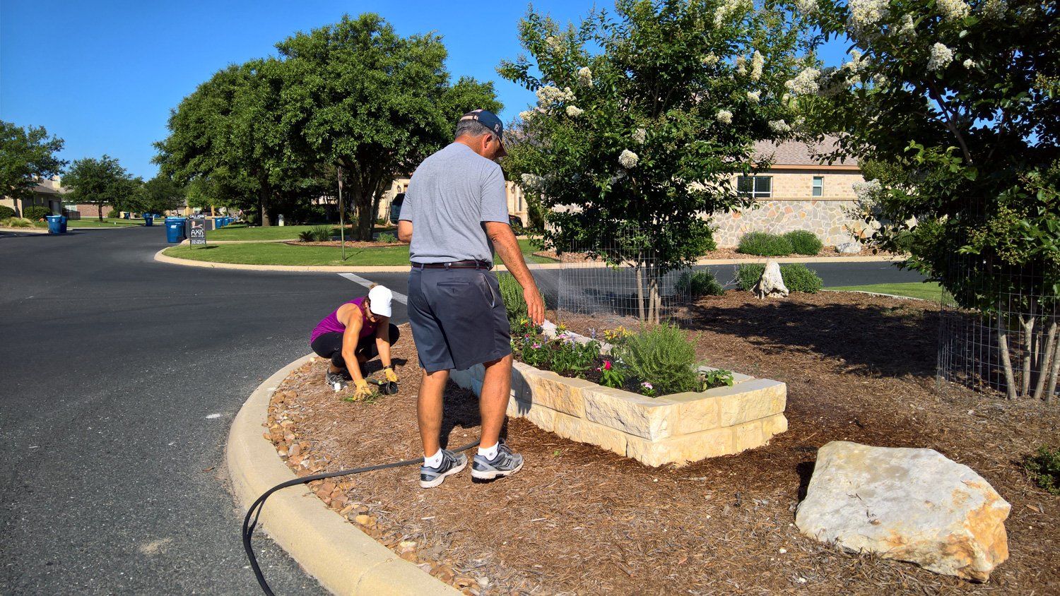A man and a woman are planting flowers in a garden.