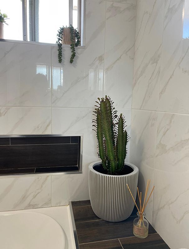 A Cactus In A Pot Is Sitting On A Bathroom Counter Next To A Toilet — Country Leisure Dubbo in Dubbo, NSW