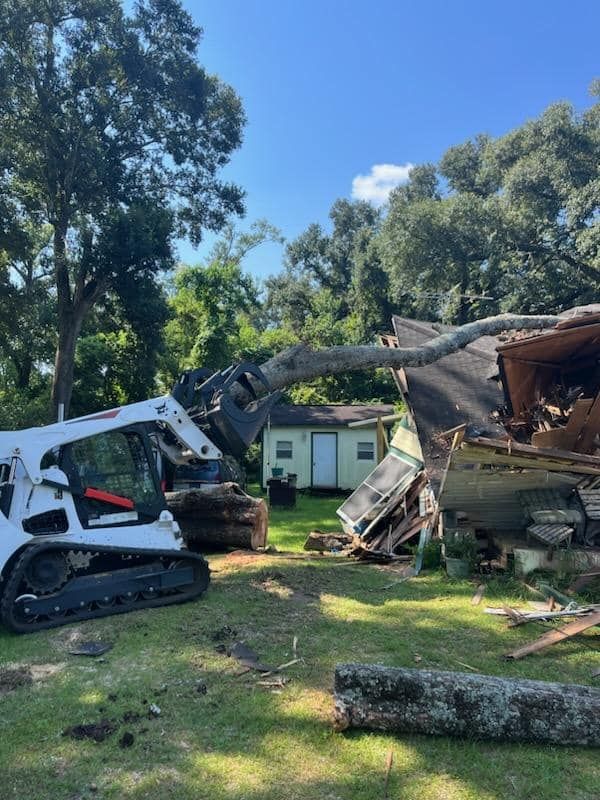 Pensacolas tree removal co