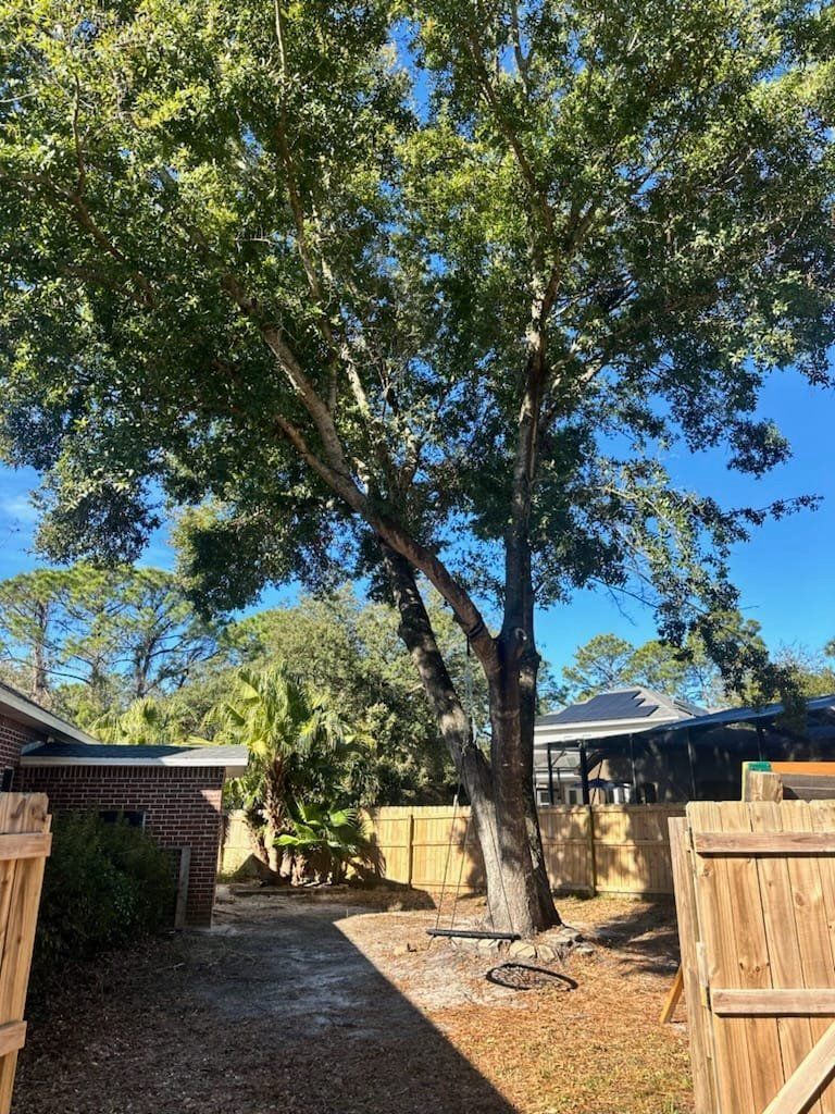 tree removal in pensacola