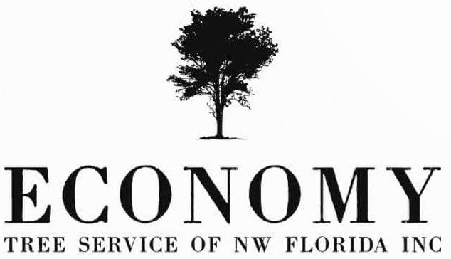 Economy Tree Service Pensacola