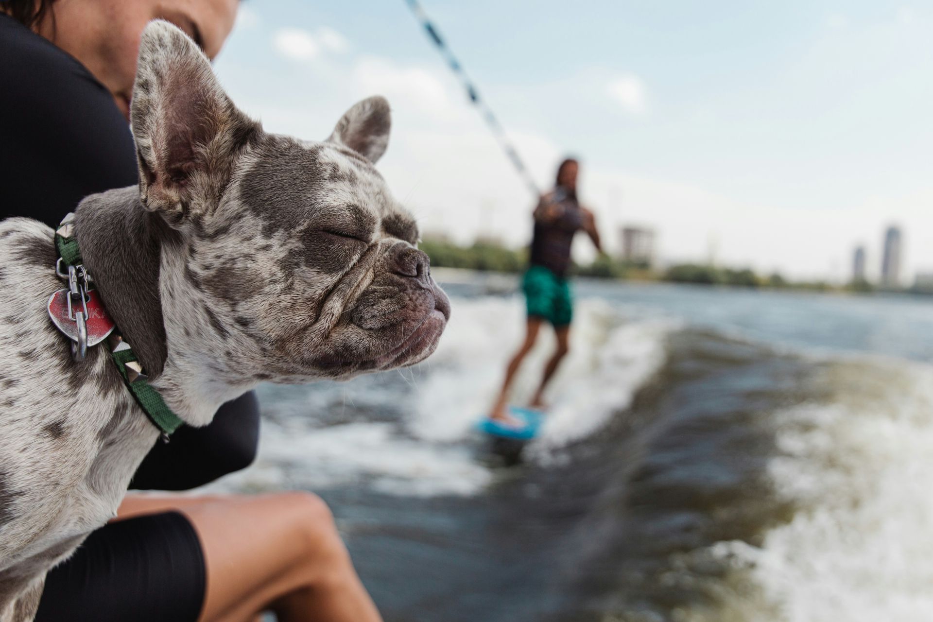 A dog is sitting on the back of a person on a boat watching a wakeboarder.
