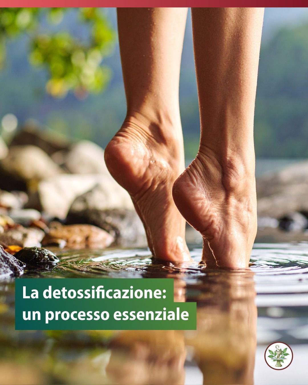 I piedi di una donna che entra nell'acqua, concentrati sulla disintossicazione. 
