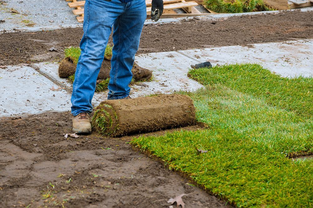 A man installing residential sod, highlighting chimney cleaning expertise.