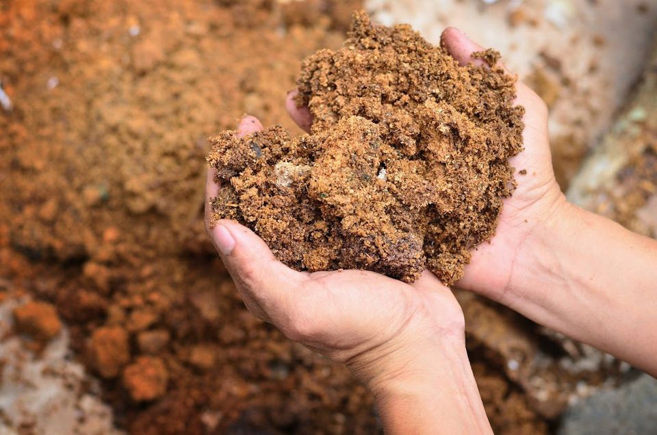 Clay Soil Hands — South Seaville, NJ — Novasack Turf Farms