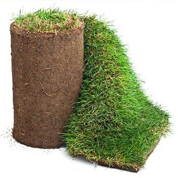 Grass Farm — Turf Grass in South Seaville, NJ