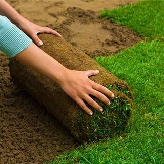 Sod Care — Top-Quality Turf in South Seaville, NJ Sod Care — Top-Quality Turf in South Seaville, NJ