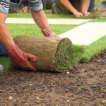 Residential Sod Delivery Services In Egg Harbor Township, Nj