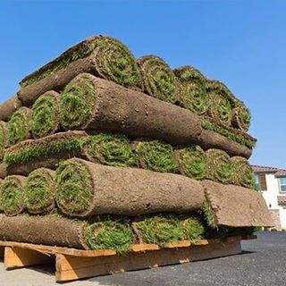 Sod Company — Sod Care Advice in South Seaville, NJ Sod Company — Sod Care Advice in South Seaville, NJ