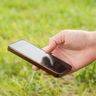 Turf Farm — Free Phone Quote in South Seaville, NJ Turf Farm — Free Phone Quote in South Seaville, NJ