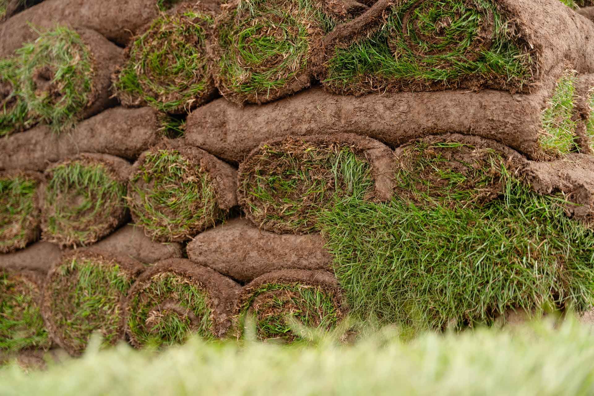 Freshly rolled sod ready for landscaping projects. Freshly rolled sod ready for landscaping projects.