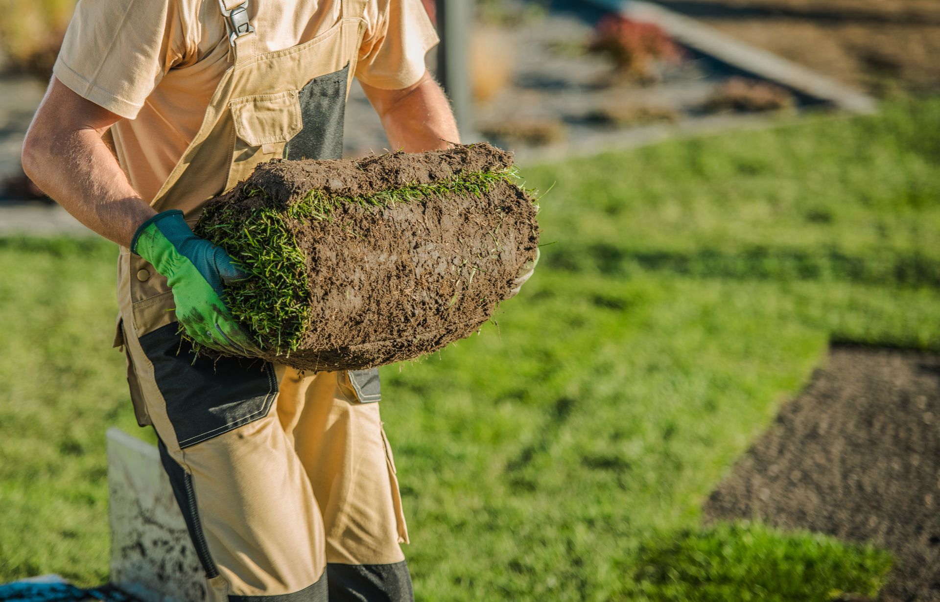 Landscaping worker carrying a roll of fresh sod across a lawn, preparing grass installation outdoors.
