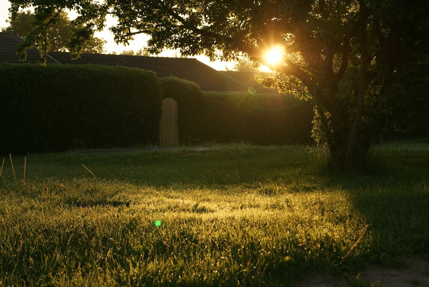 Grass and Trees — South Seaville, NJ — Novasack Turf Farms