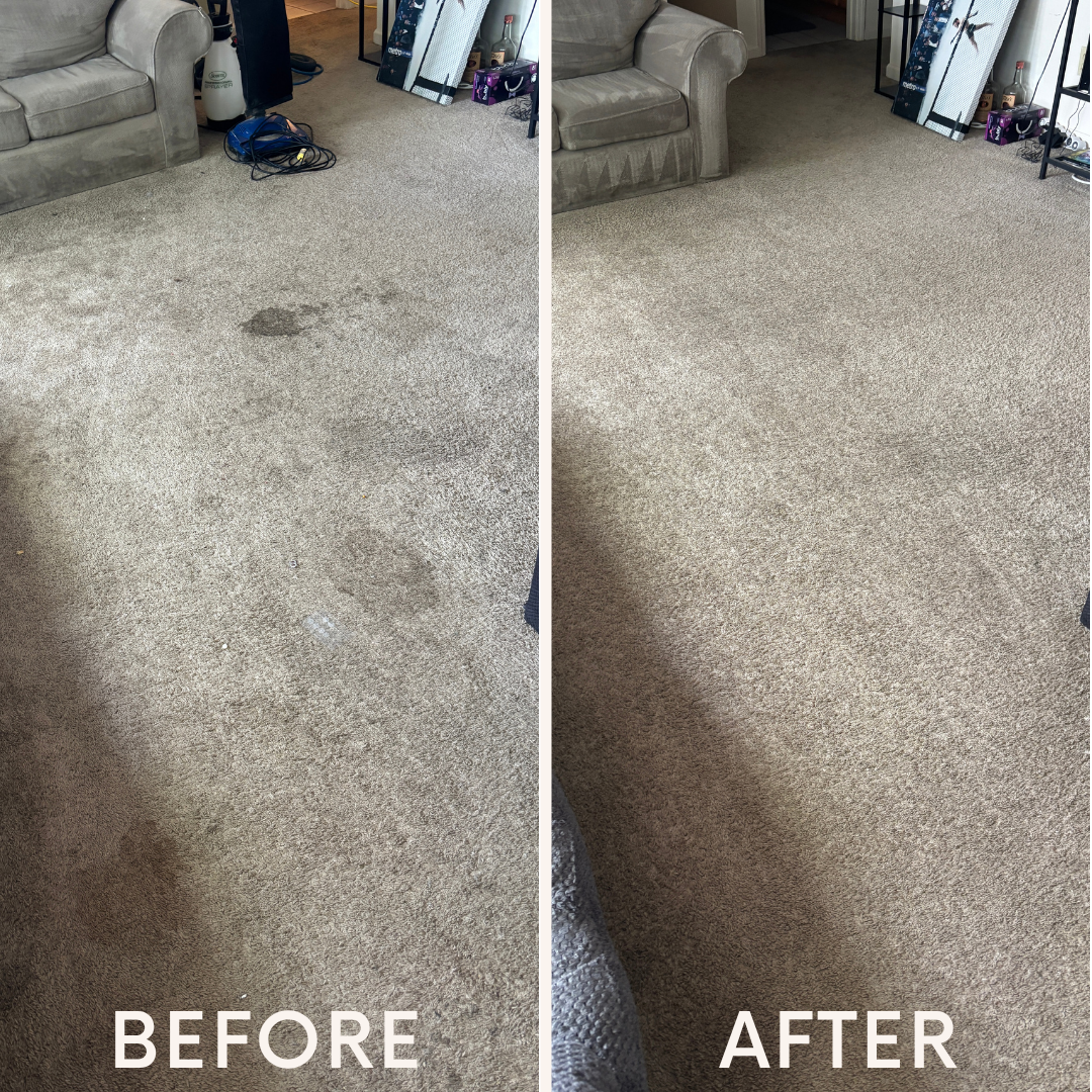 Before and after photos of a carpet stain removal. The 