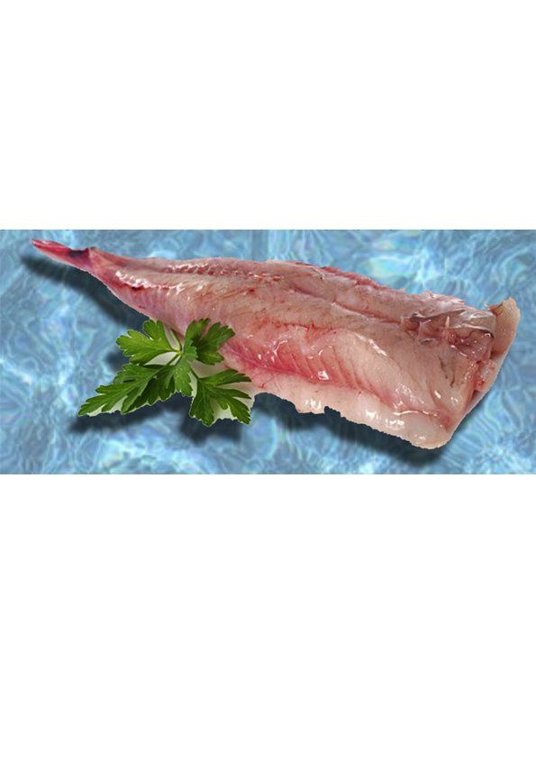 CODA DI RANA PESCATRICE