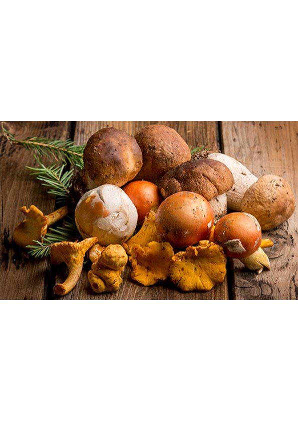 Funghi misti con porcini