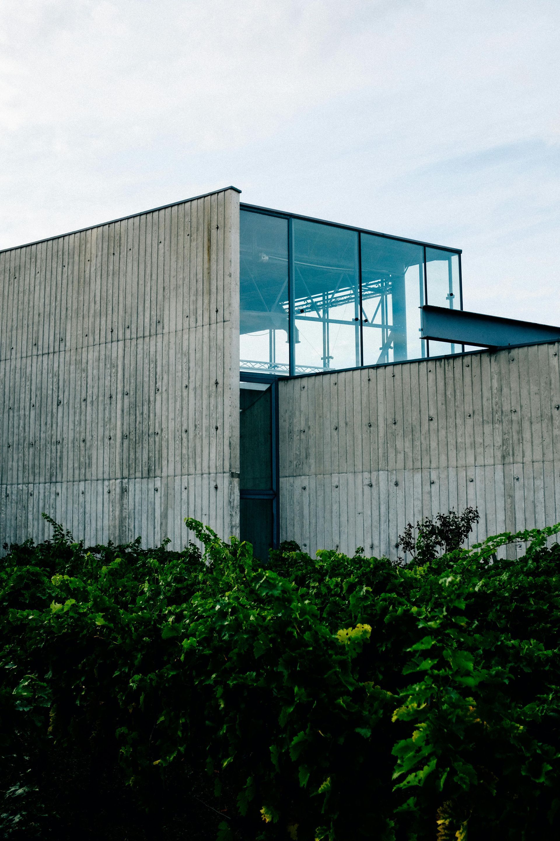Modern concrete building with large glass corner above green shrubs